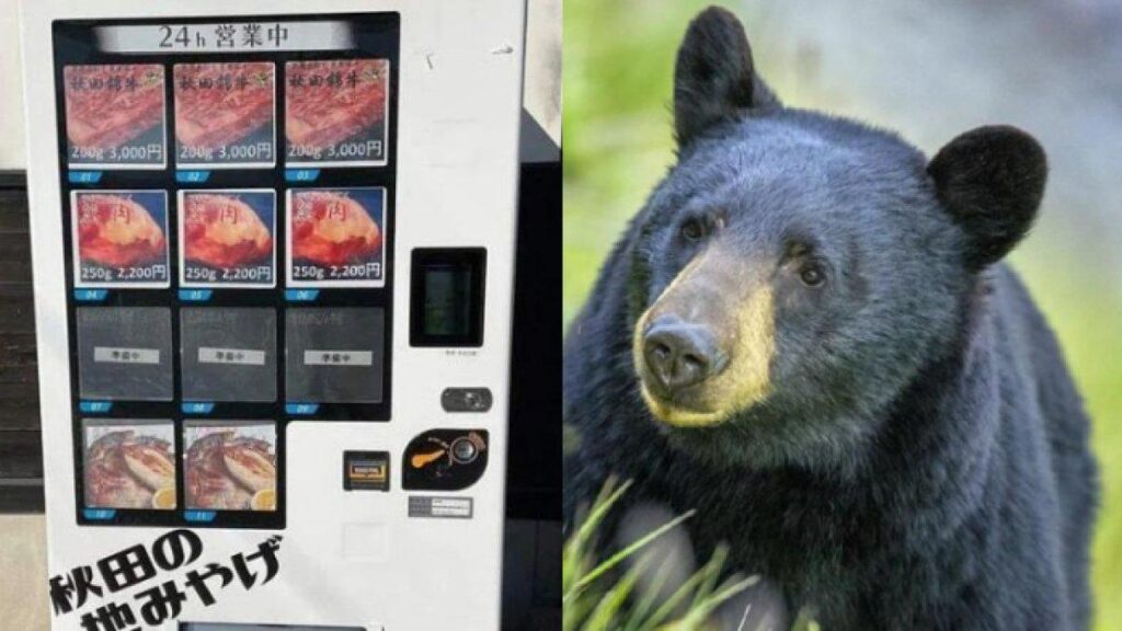 viral vending machine di jepang jual jimat hingga daging beruang 1024x576 - Vending Machine di Salah Satu Stasiun Jepang Jual Daging Beruang